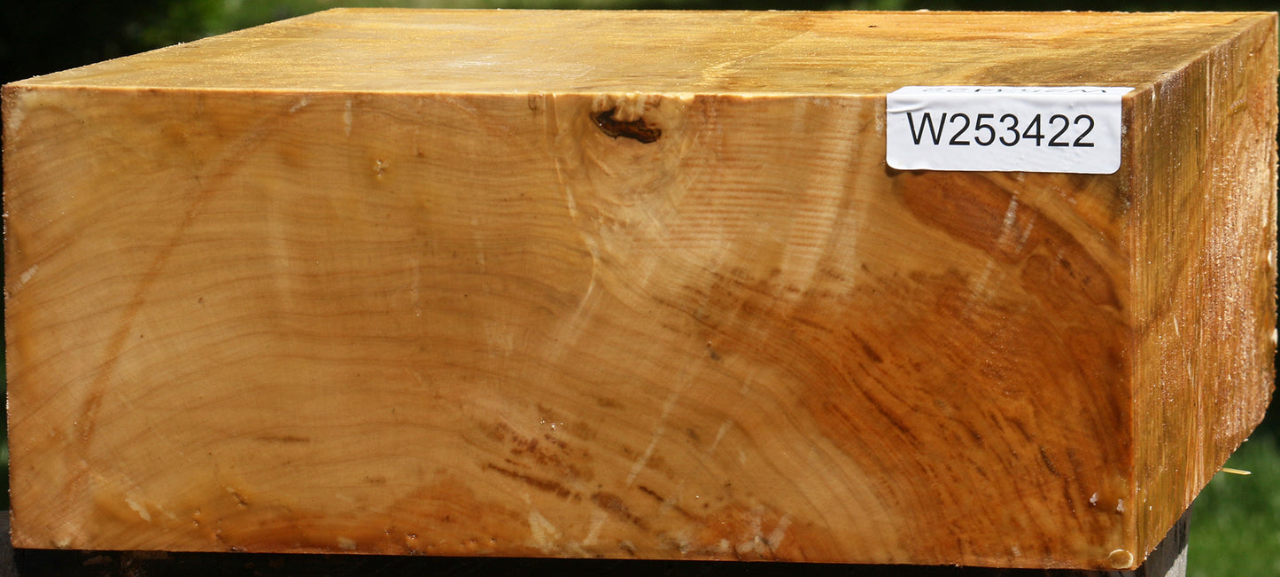 Extra Fancy Silver Maple Bowl Blank