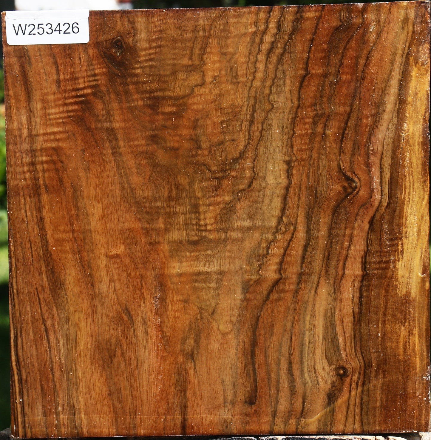 Extra Fancy English Walnut Bowl Blank