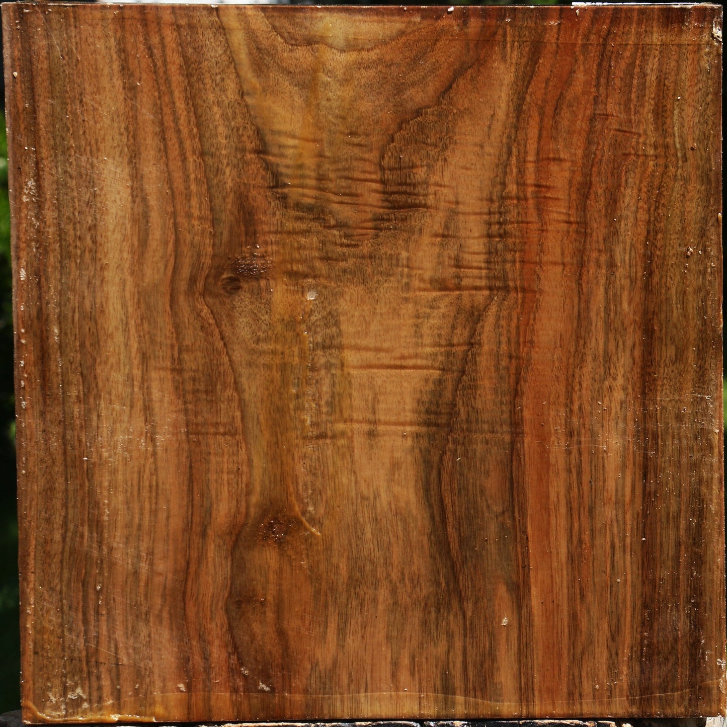 Extra Fancy English Walnut Bowl Blank