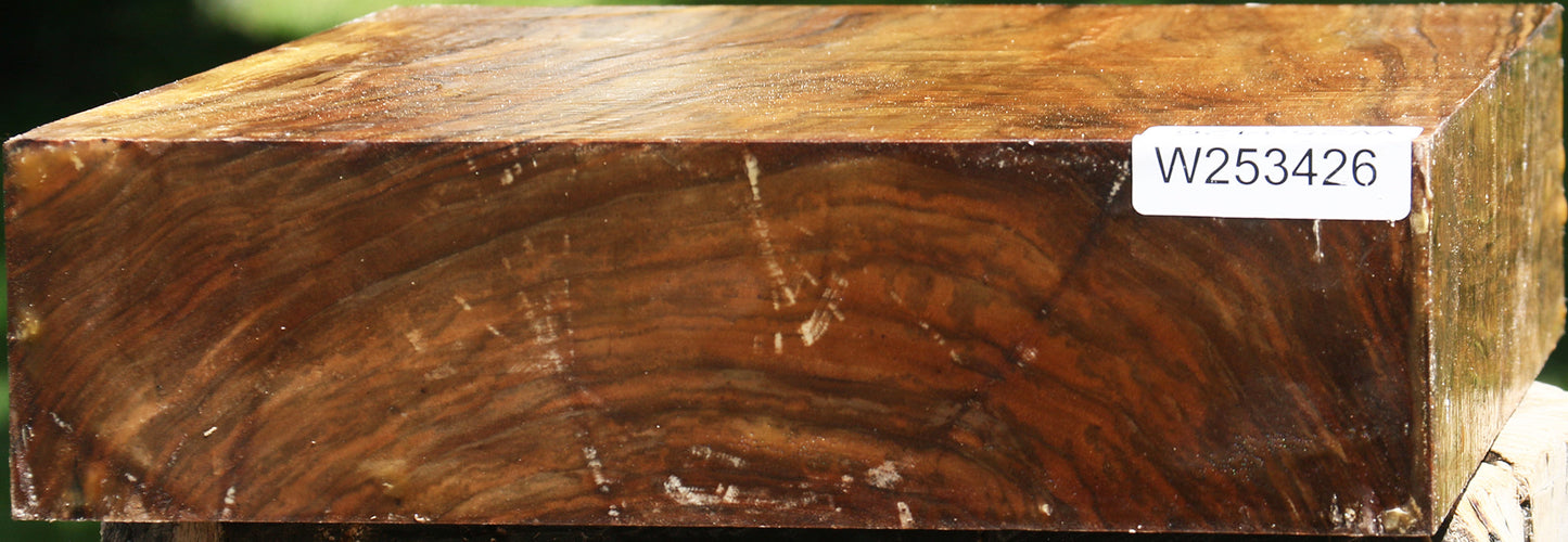 Extra Fancy English Walnut Bowl Blank