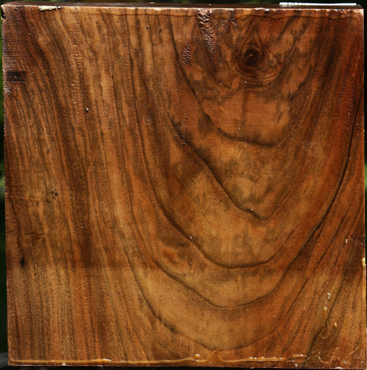 Extra Fancy Claro Walnut Bowl Blank