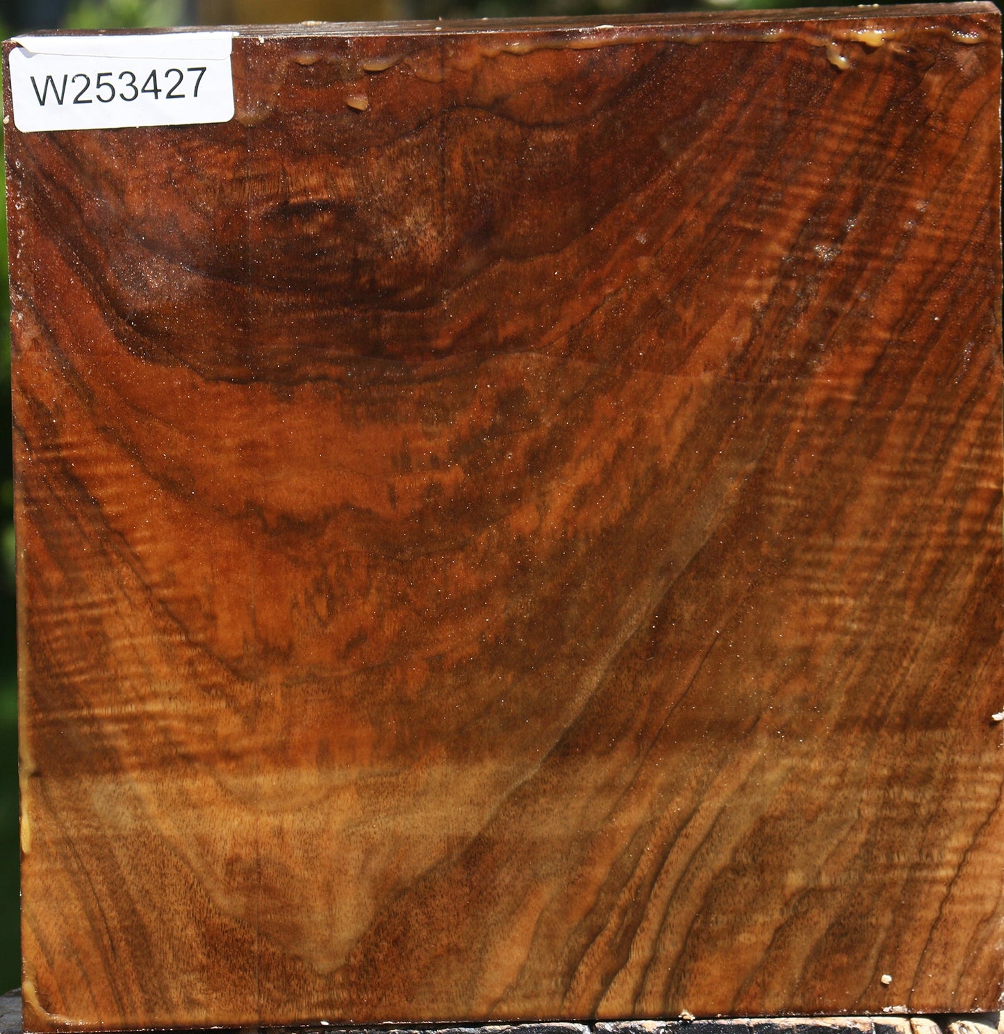 Extra Fancy Claro Walnut Bowl Blank