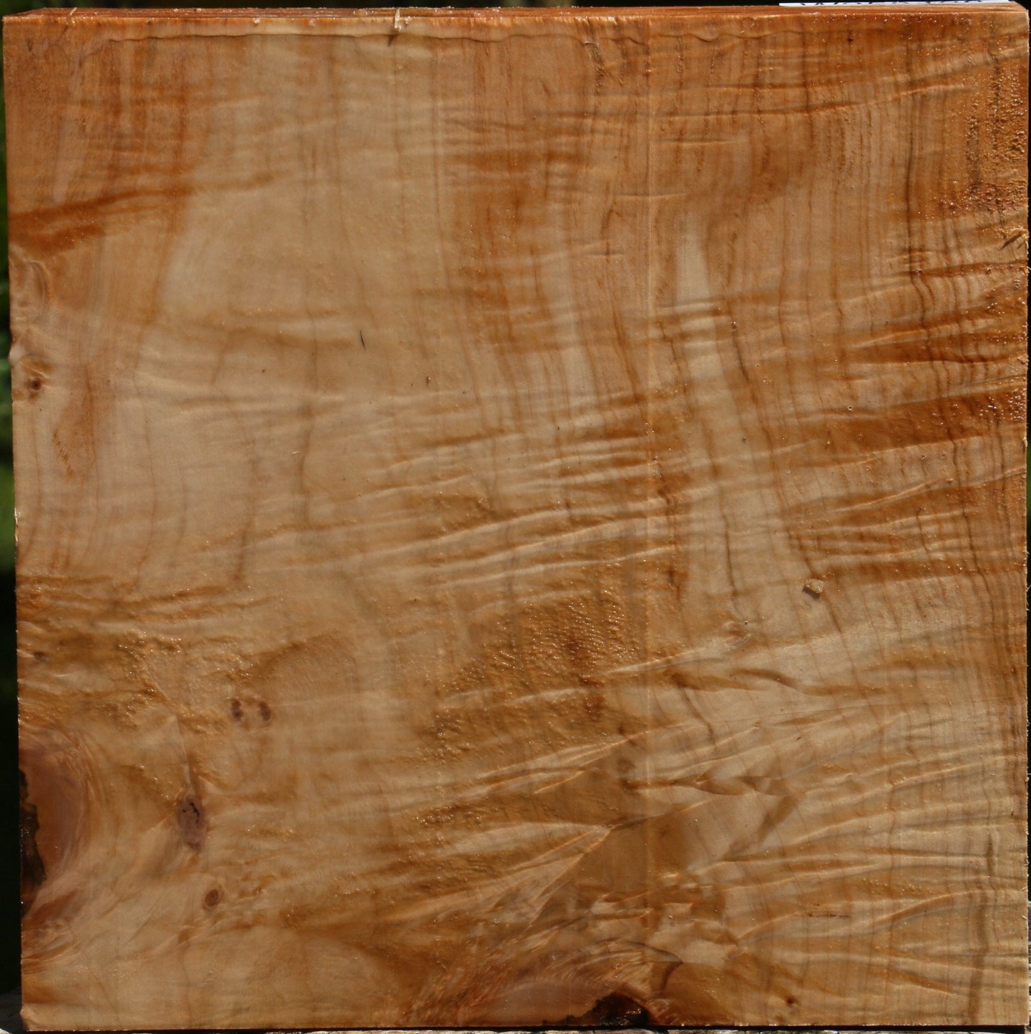 Extra Fancy Silver Maple Bowl Blank