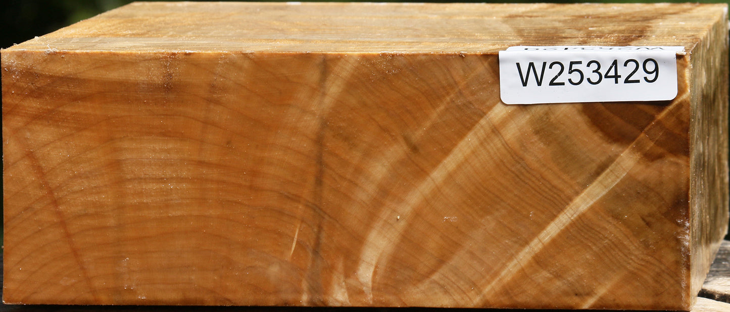 Extra Fancy Silver Maple Bowl Blank