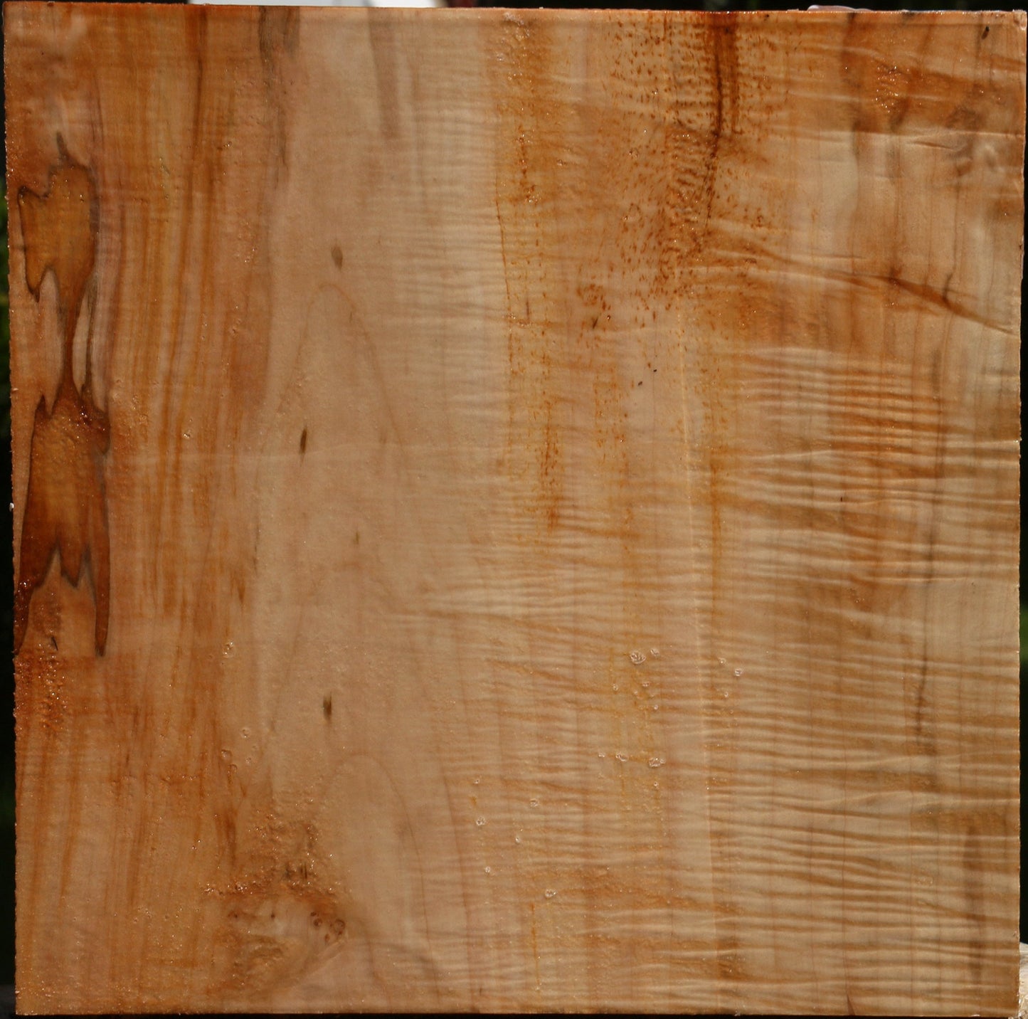 Extra Fancy Ambrosia Maple Bowl Blank