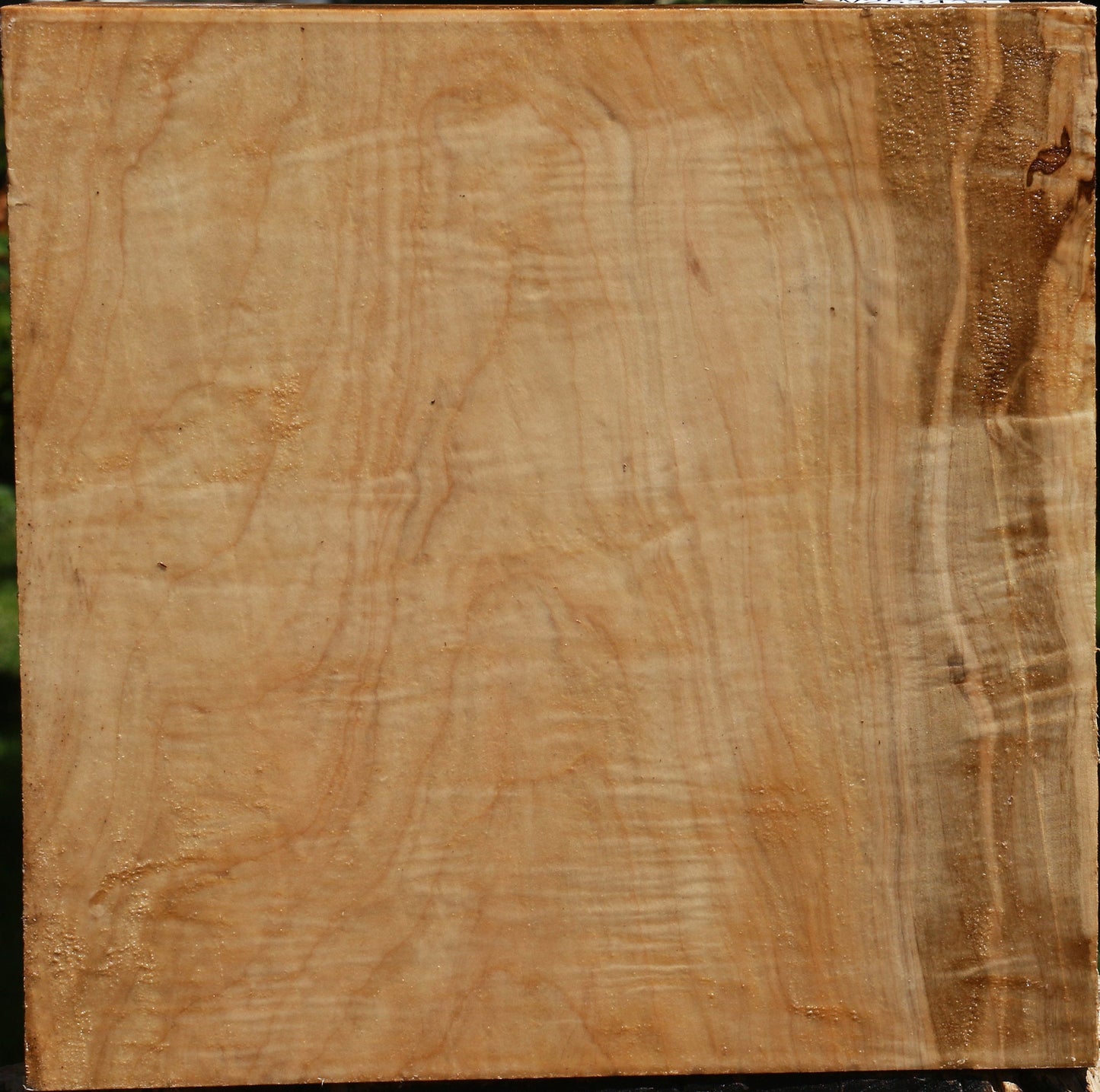 Extra Fancy Ambrosia Maple Bowl Blank