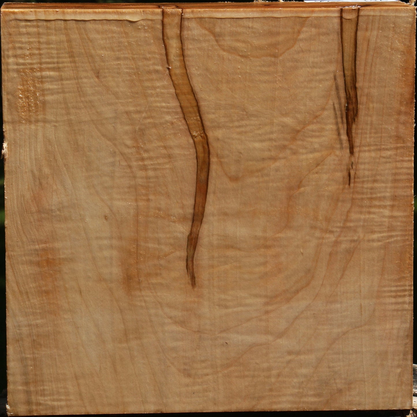 Extra Fancy Ambrosia Maple Bowl Blank