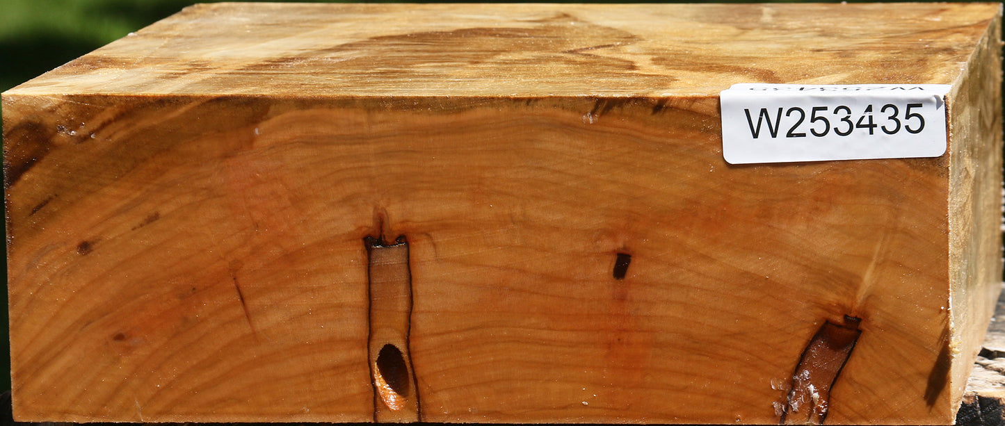 Extra Fancy Ambrosia Maple Bowl Blank