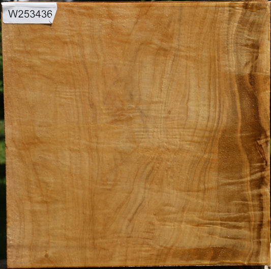 Silver Maple Bowl Blank
