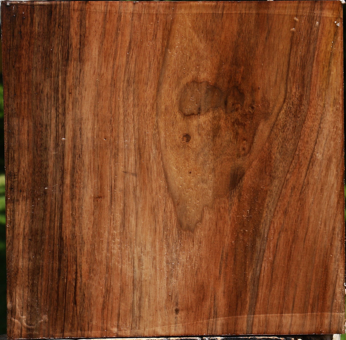 English Walnut Bowl Blank