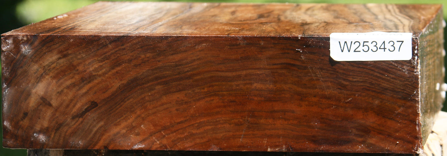 English Walnut Bowl Blank