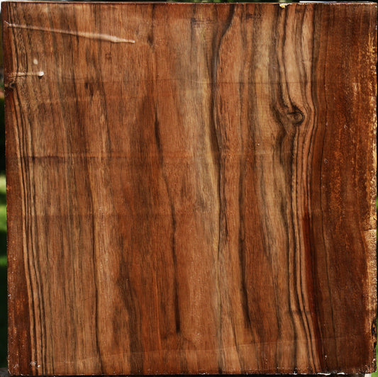English Walnut Bowl Blank
