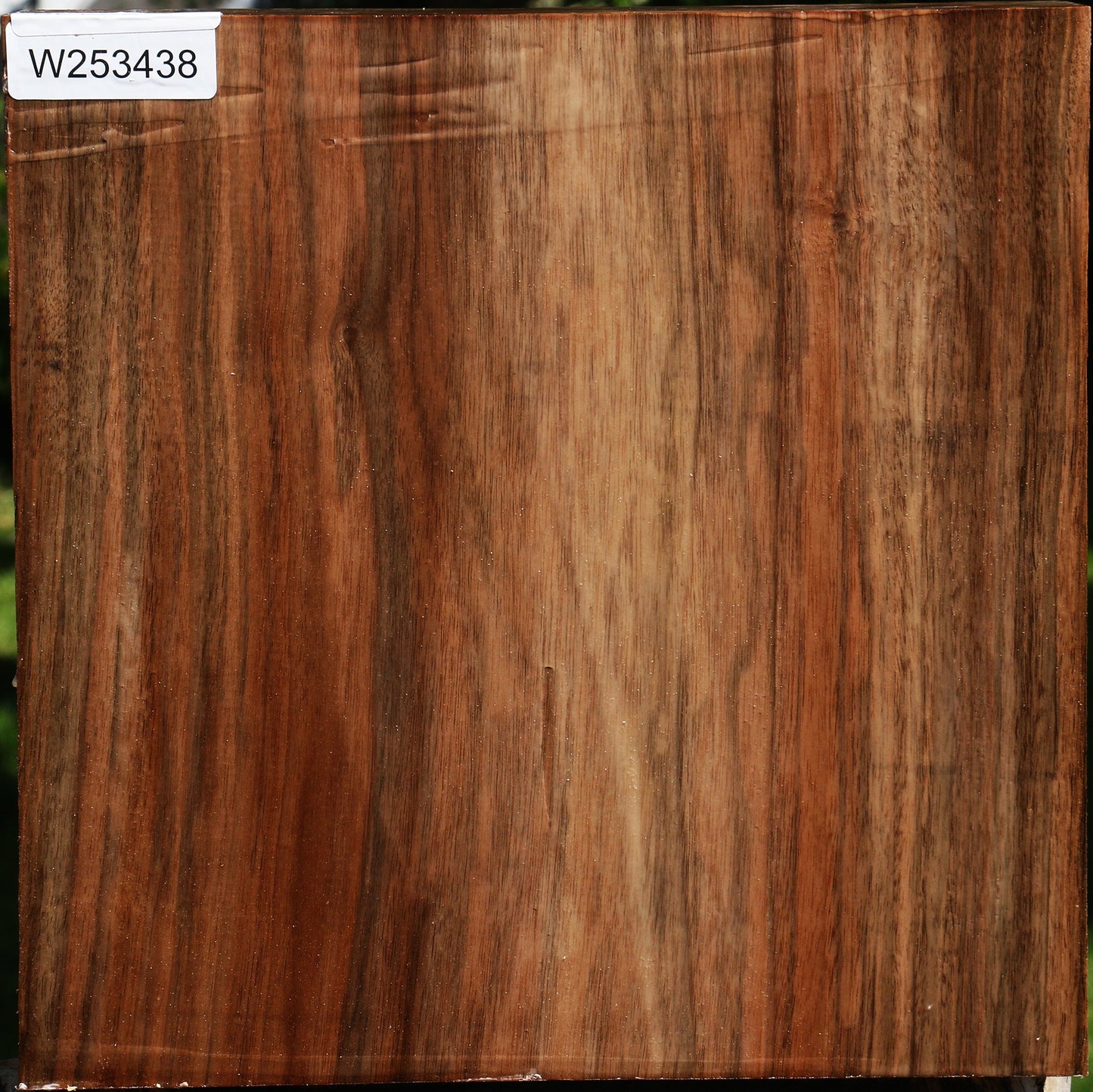 English Walnut Bowl Blank