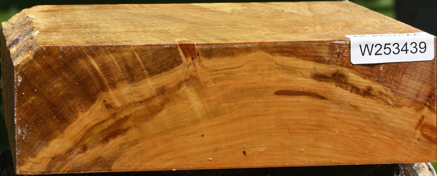 Extra Fancy Silver Maple Bowl Blank