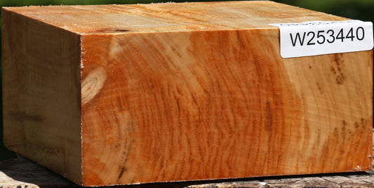 Extra Fancy Silver Maple Bowl Blank