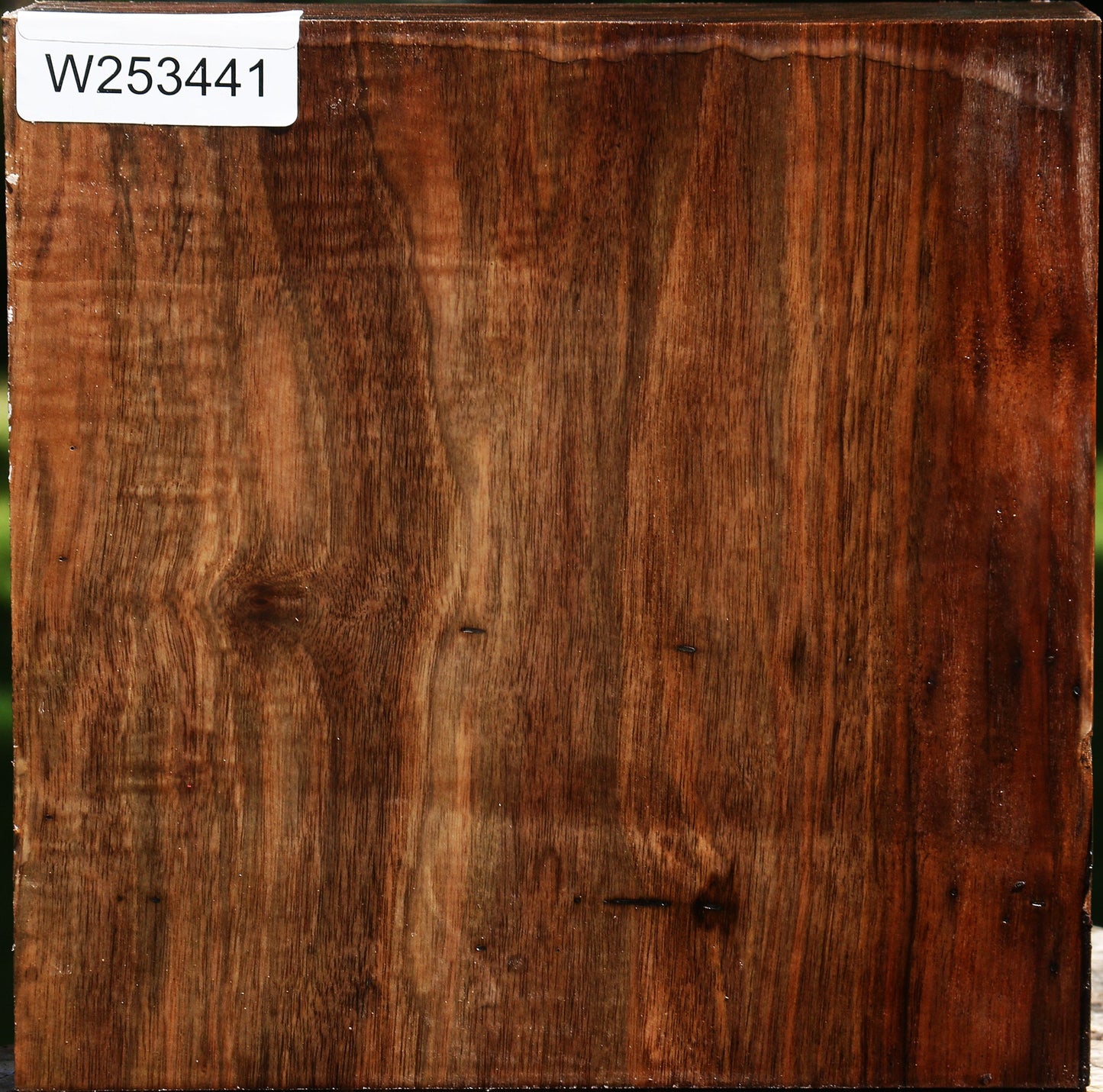 Figured English Walnut Bowl Blank