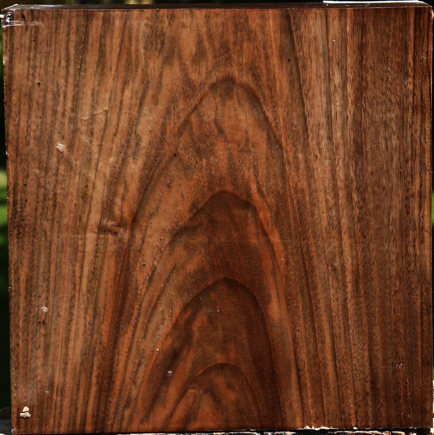 Figured English Walnut Bowl Blank