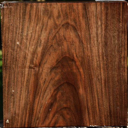 Figured English Walnut Bowl Blank
