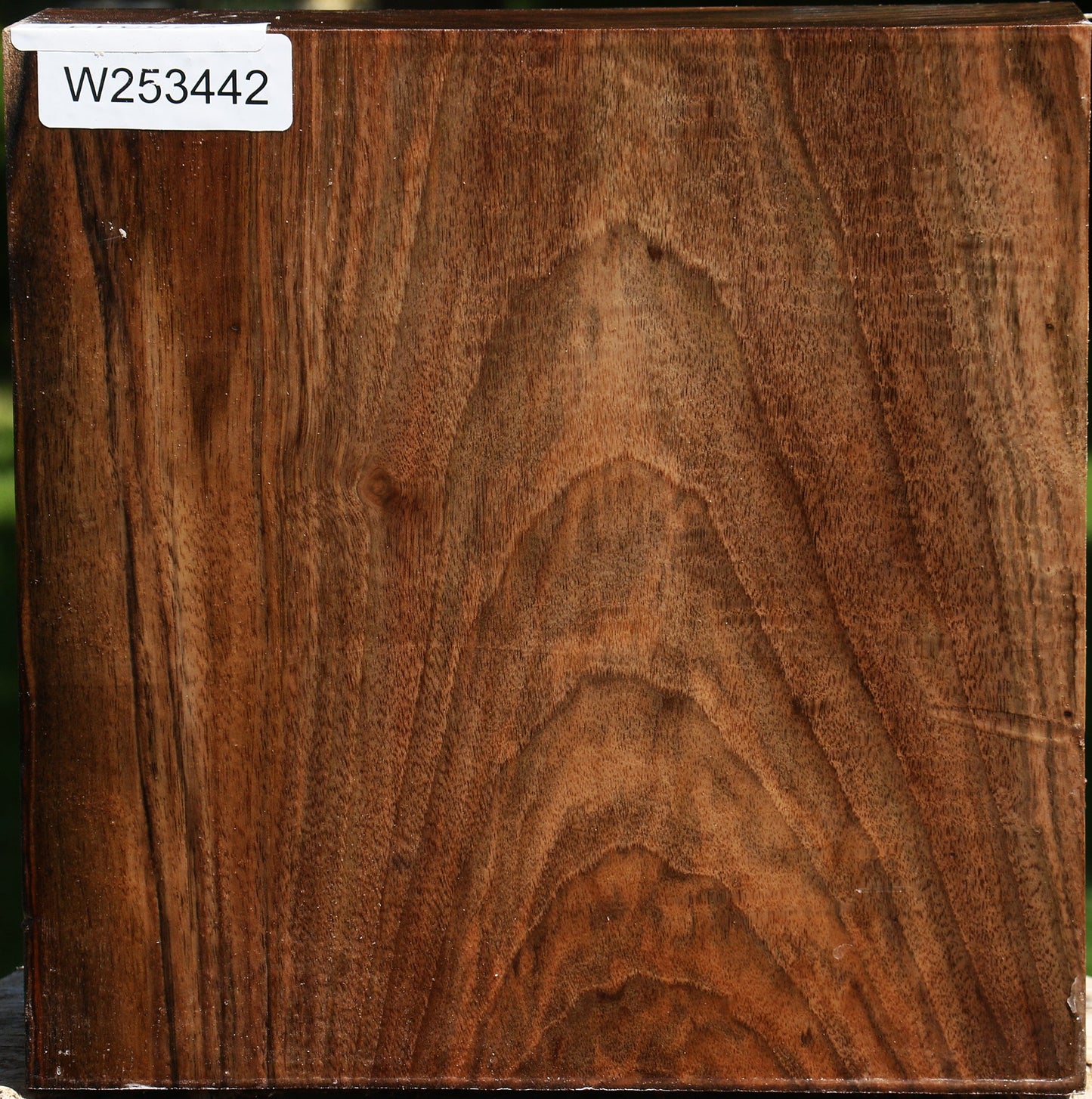 Figured English Walnut Bowl Blank