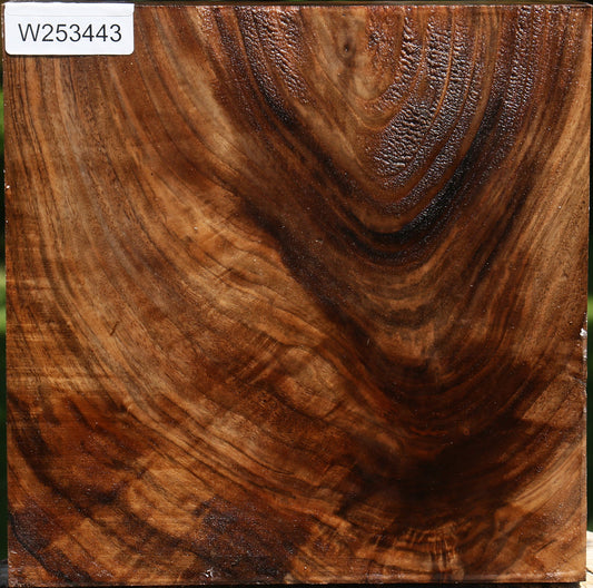 Extra Fancy Crotchwood English Walnut Bowl Blank