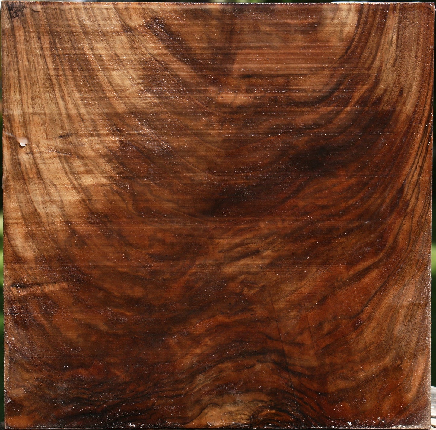 Extra Fancy Crotchwood English Walnut Bowl Blank