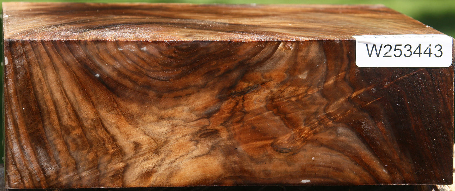 Extra Fancy Crotchwood English Walnut Bowl Blank