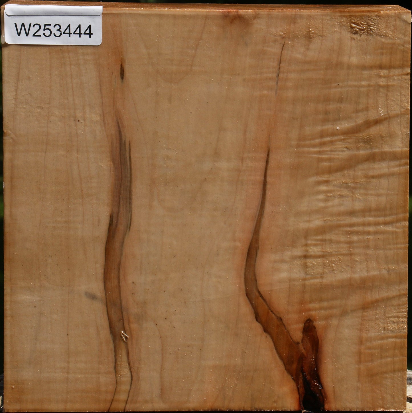Figured Ambrosia Maple Bowl Blank