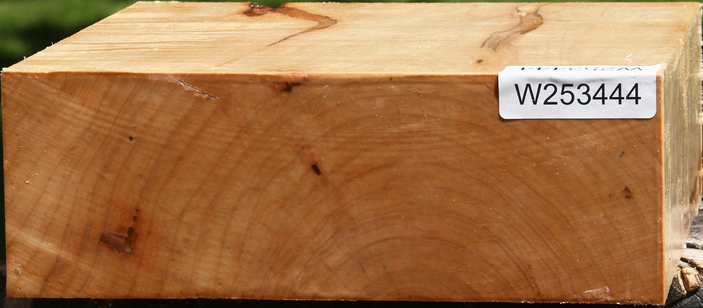 Figured Ambrosia Maple Bowl Blank