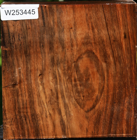 English Walnut Bowl Blank