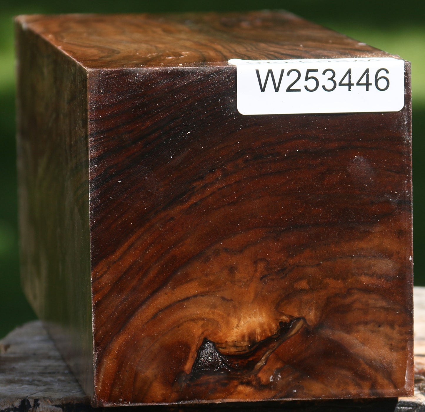 English Walnut Vessel Blank