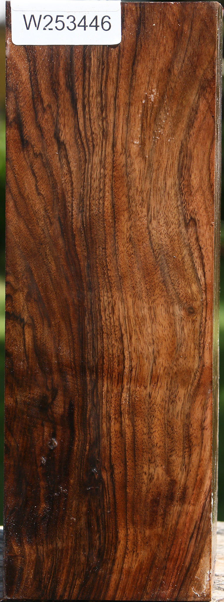 English Walnut Vessel Blank