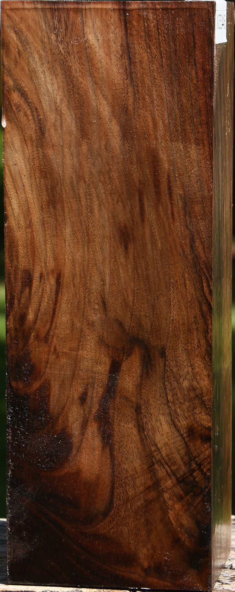 English Walnut Vessel Blank