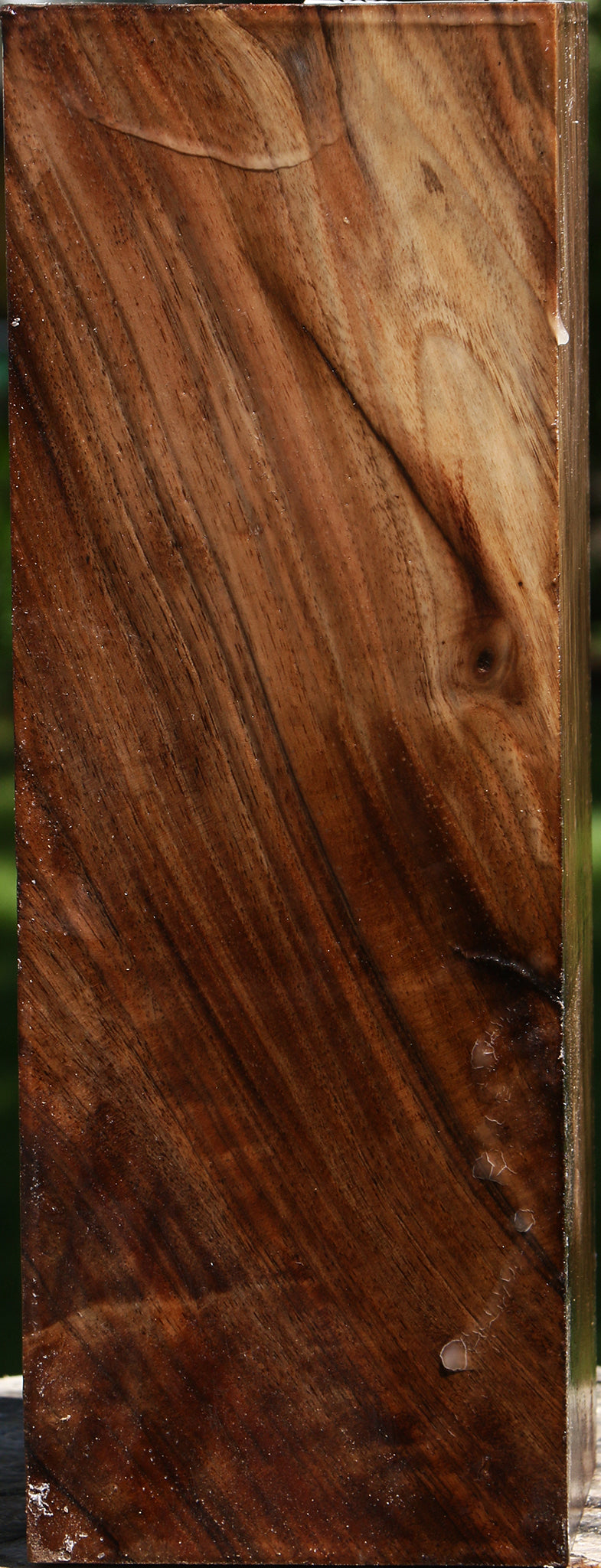 English Walnut Vessel Blank