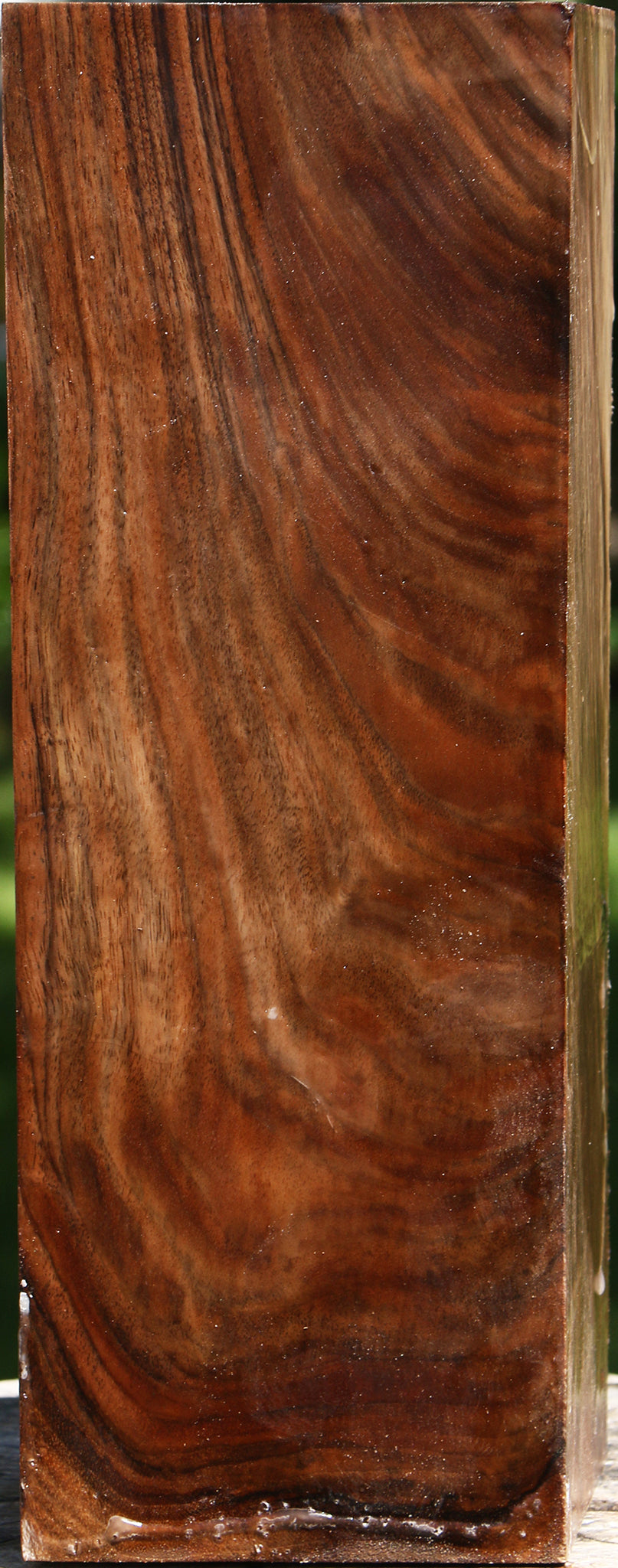 English Walnut Vessel Blank