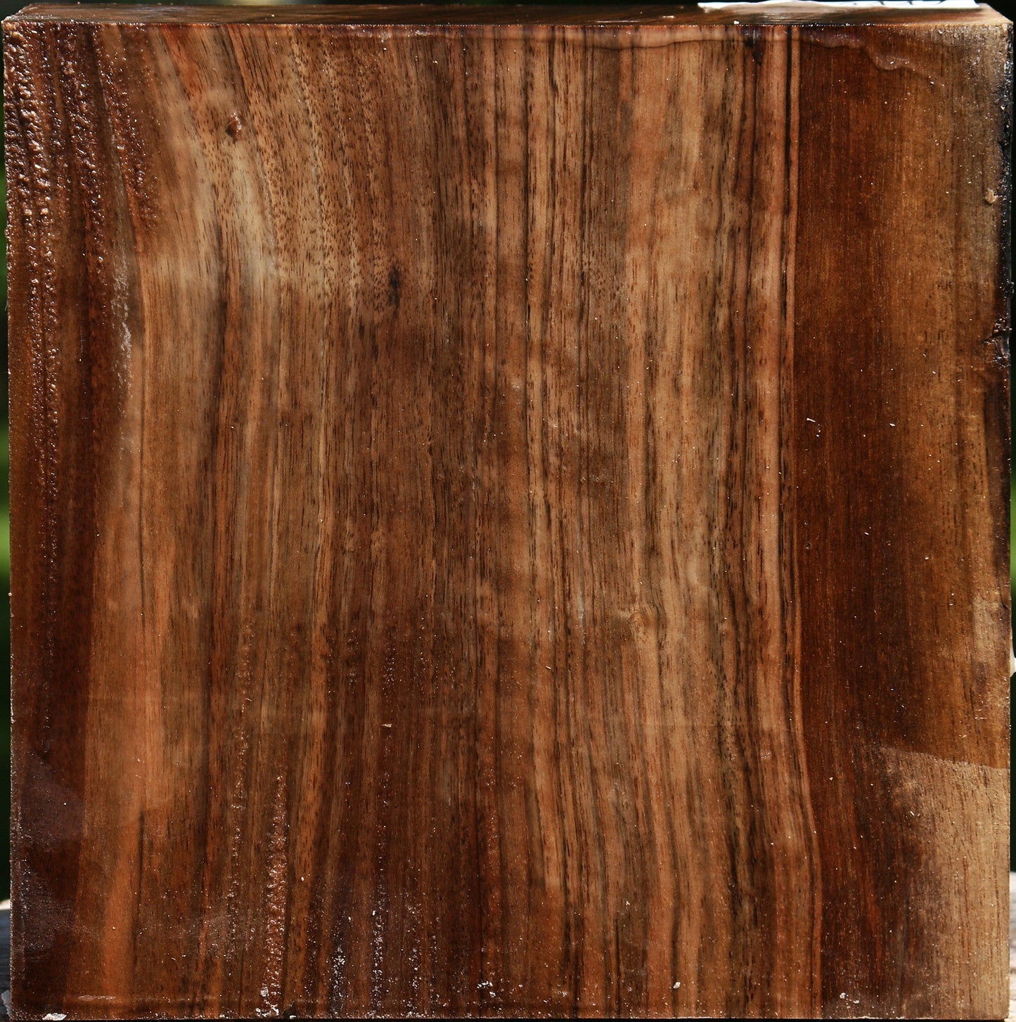 Figured English Walnut Bowl Blank