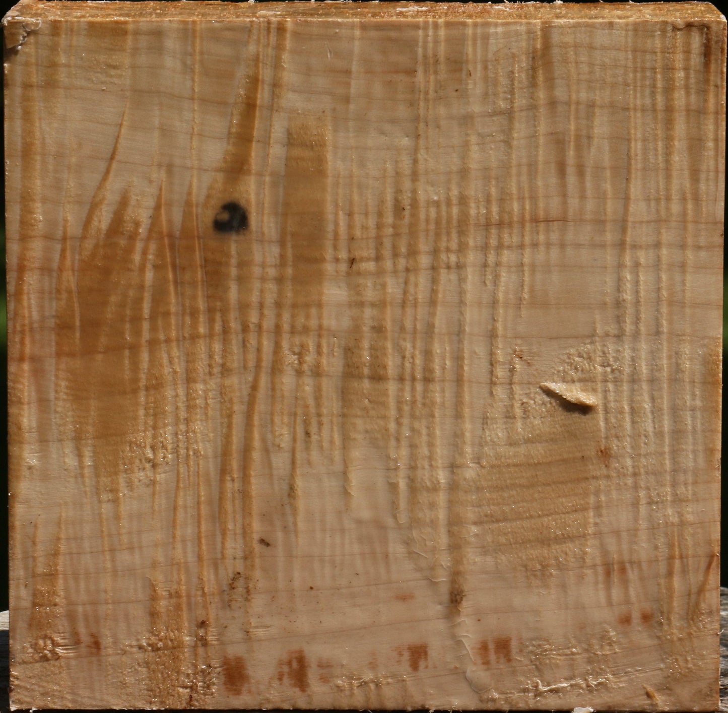 Extra Fancy Silver Maple Bowl Blank
