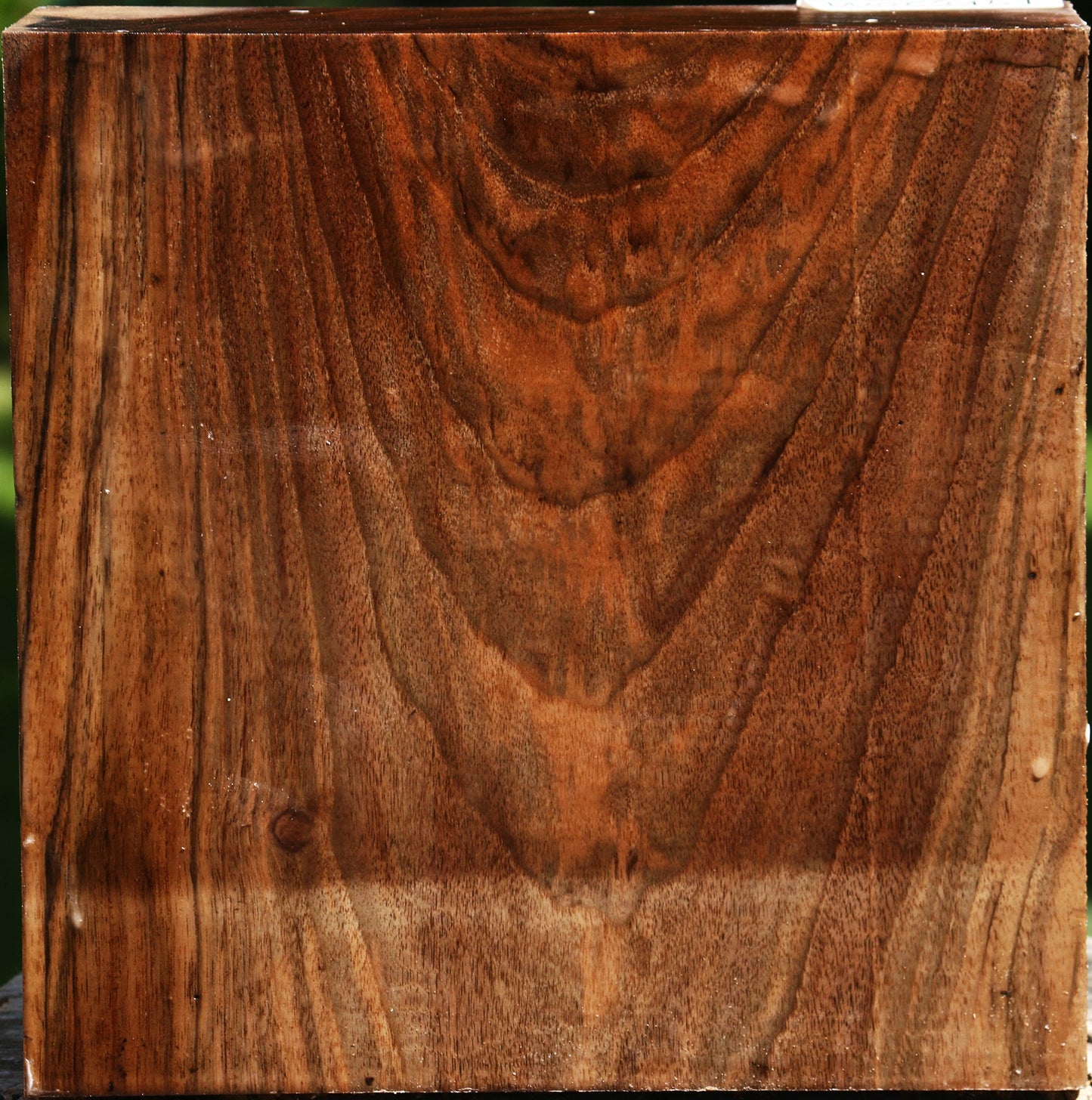 Extra Fancy English Walnut Bowl Blank