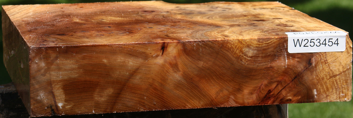 Elm Burl Bowl Blank