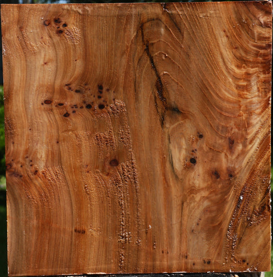 Figured Elm Platter Blank