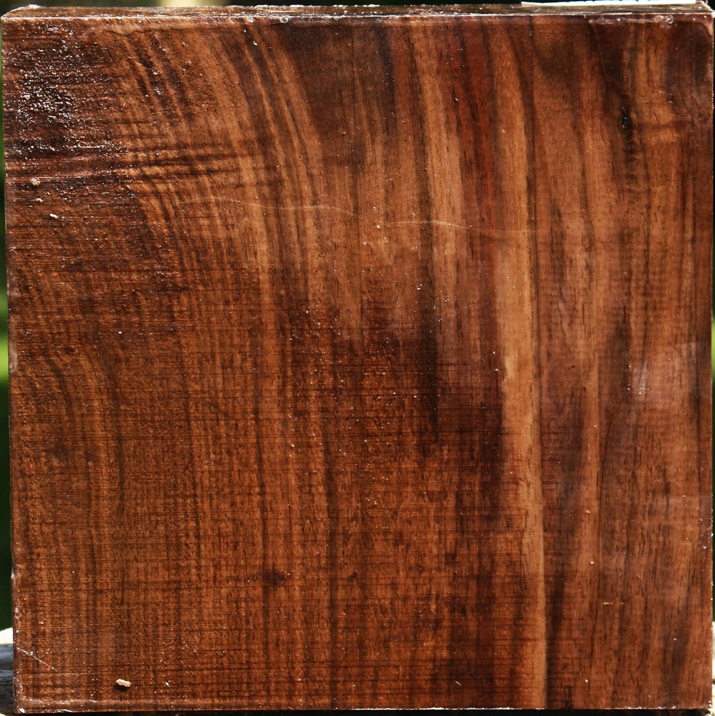 Figured Claro Walnut Bowl Blank