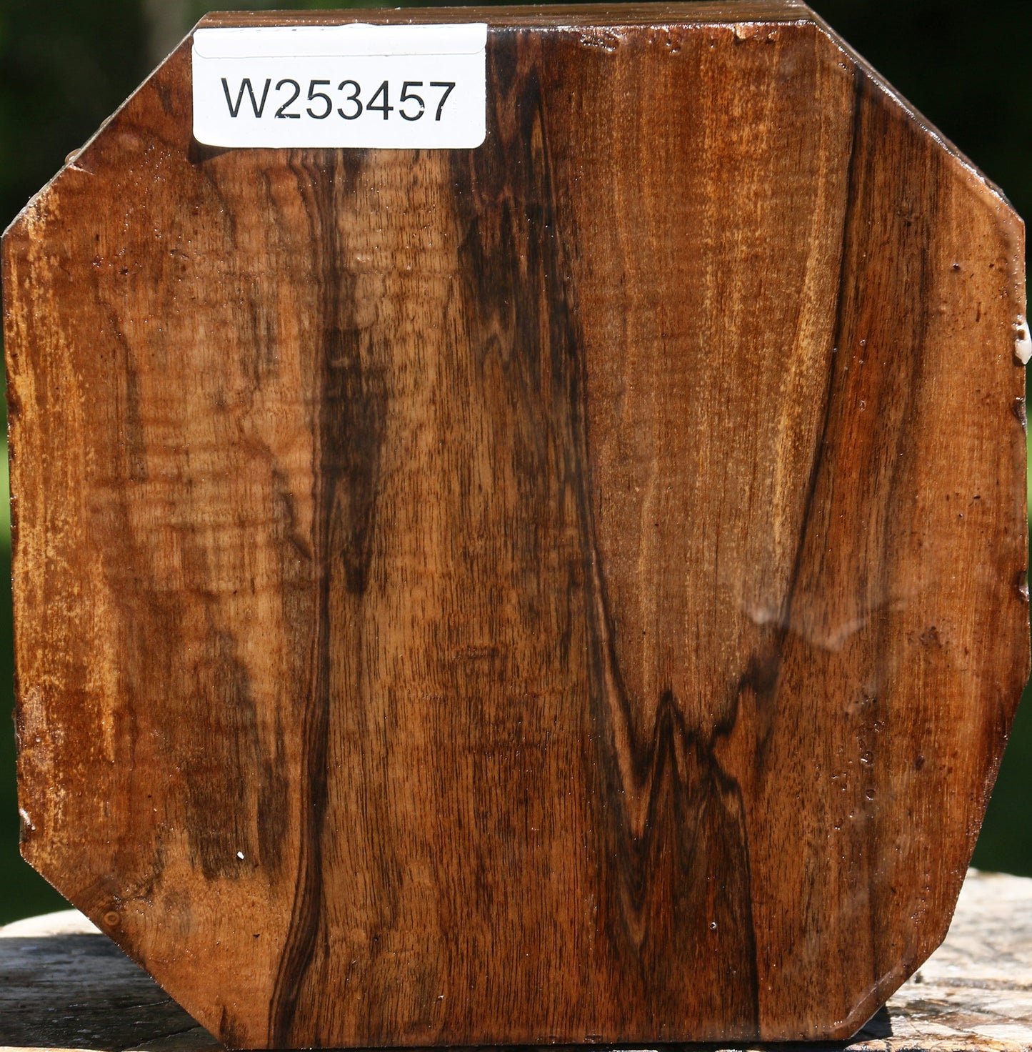 Extra Fancy Claro Walnut Bowl Blank