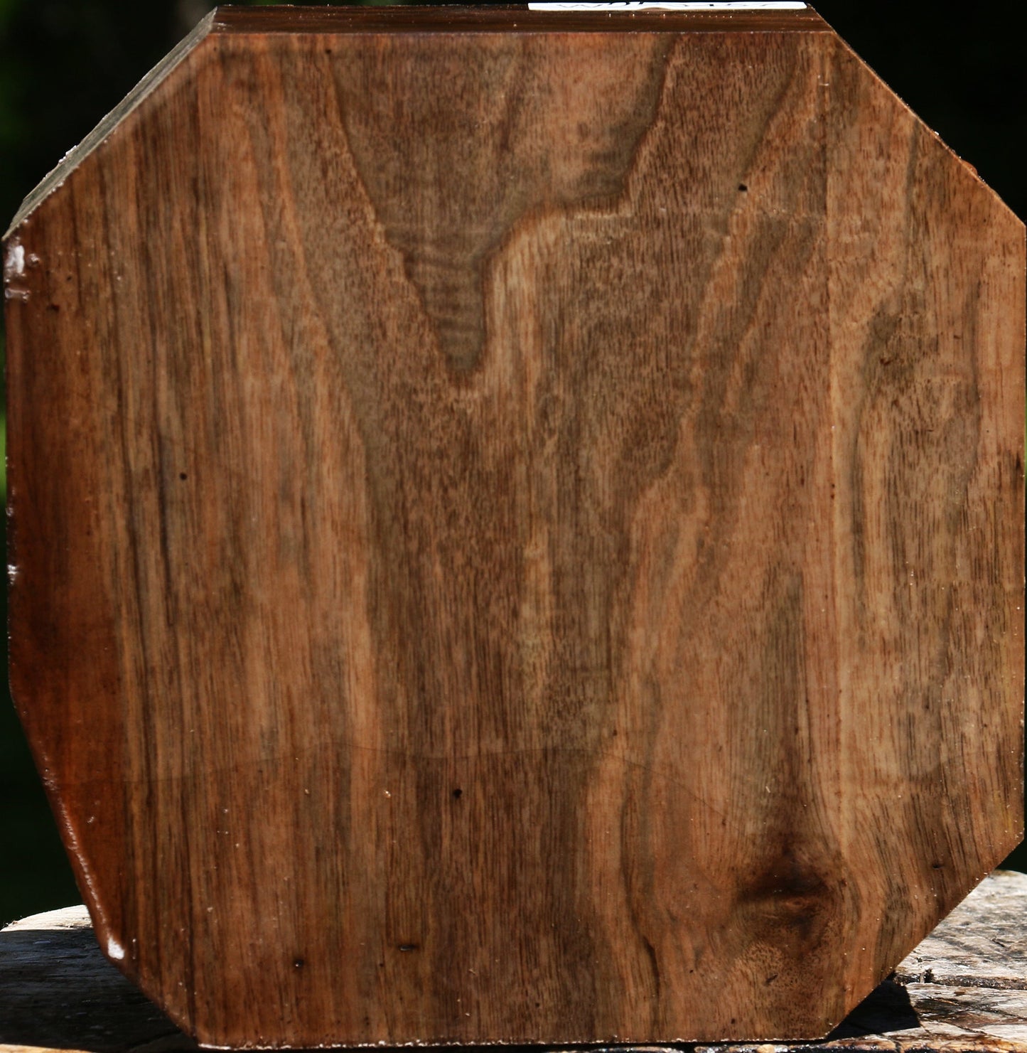 Extra Fancy Claro Walnut Bowl Blank