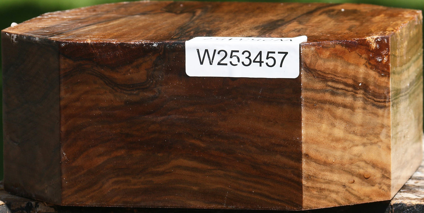 Extra Fancy Claro Walnut Bowl Blank