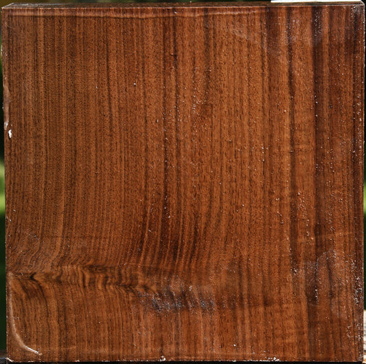 Claro Walnut Bowl Blank