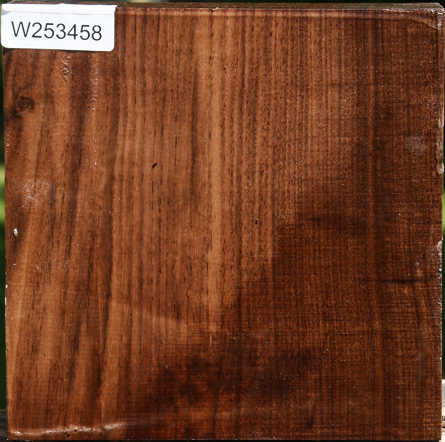 Claro Walnut Bowl Blank