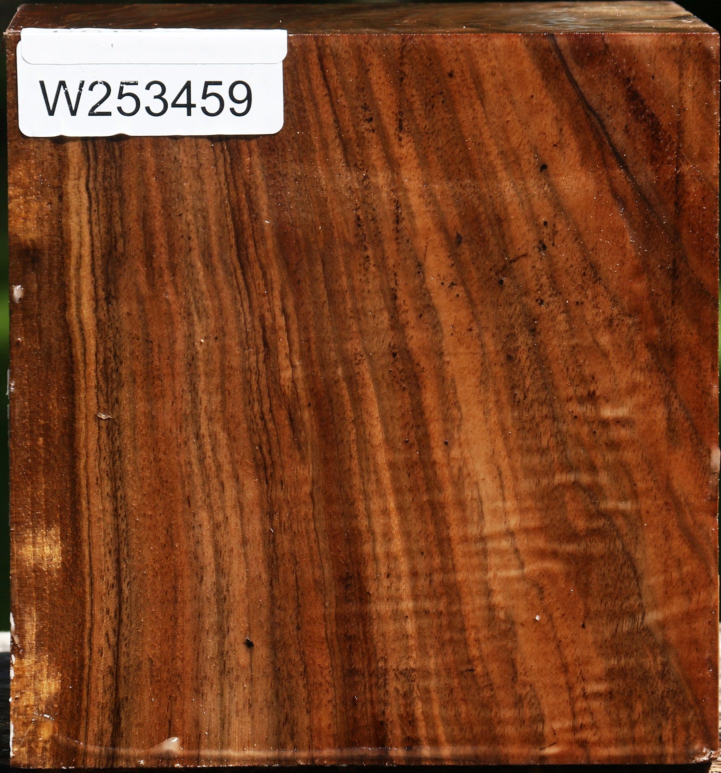 Figured English Walnut Bowl Blank