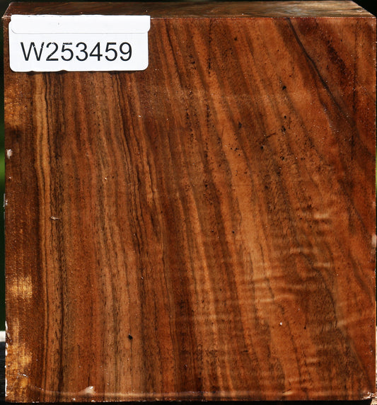 Figured English Walnut Bowl Blank