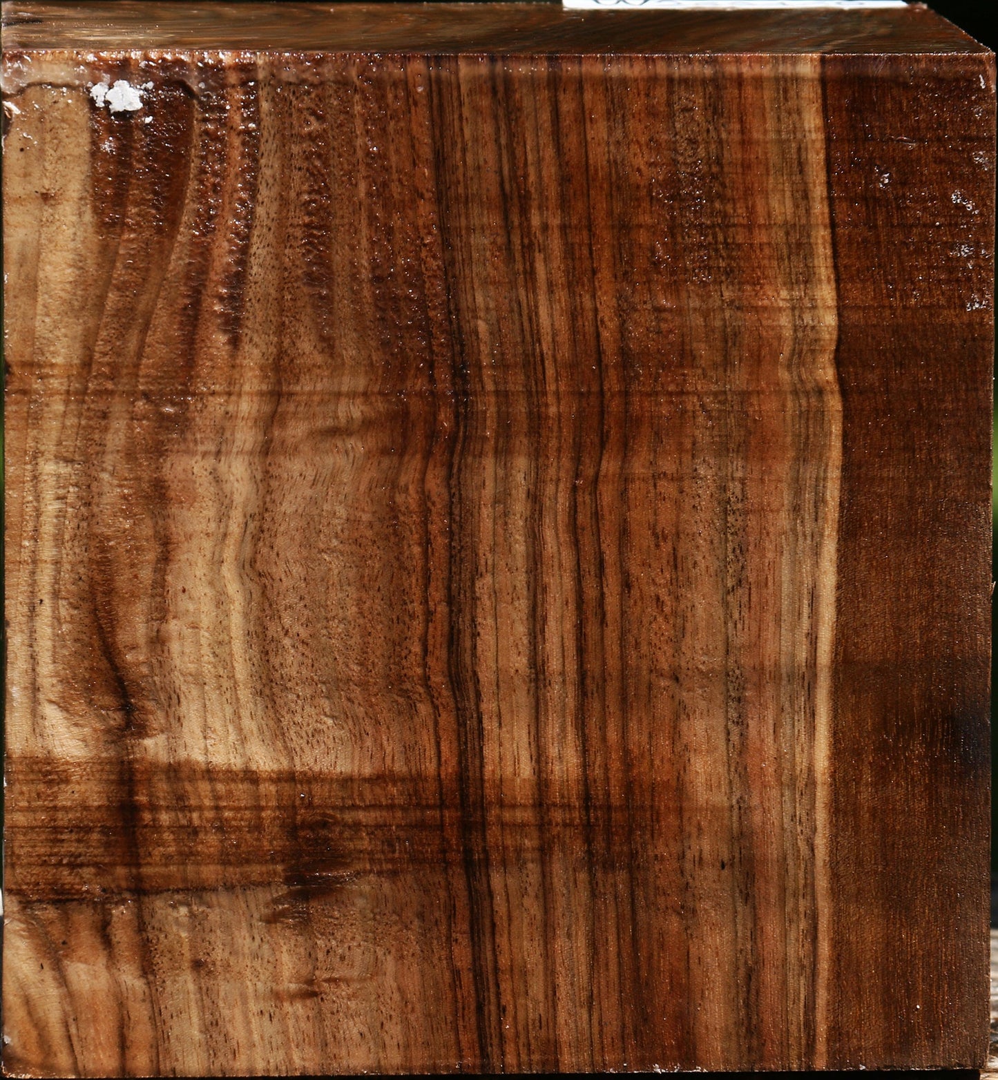 Figured English Walnut Bowl Blank