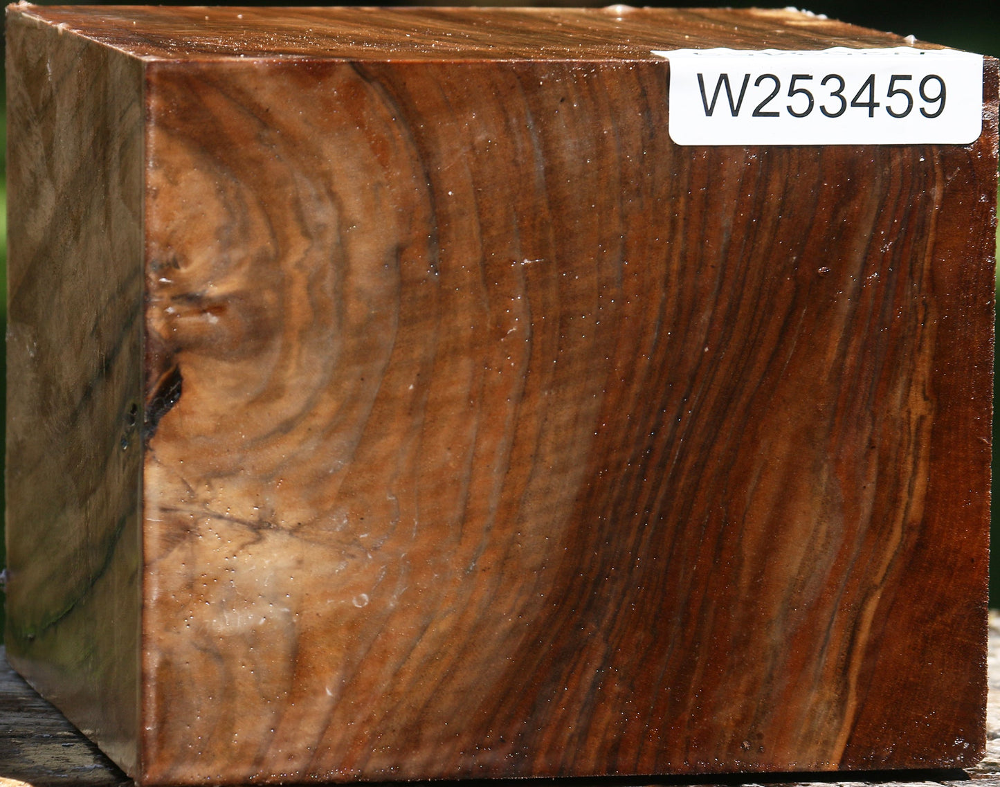 Figured English Walnut Bowl Blank