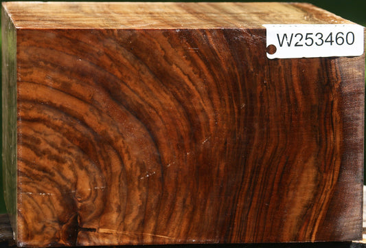Extra Fancy English Walnut Bowl Blank